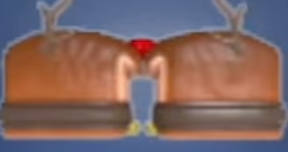 Rudolph